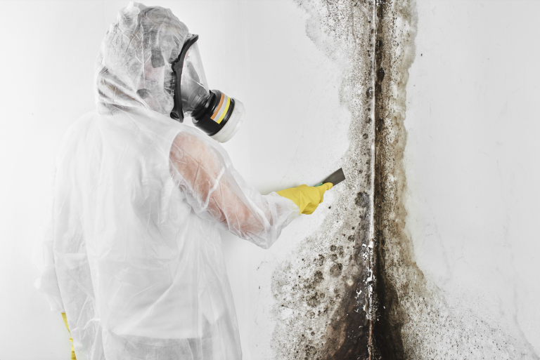 Mold Inspectors Santa Barbara: Professional Mold Removal